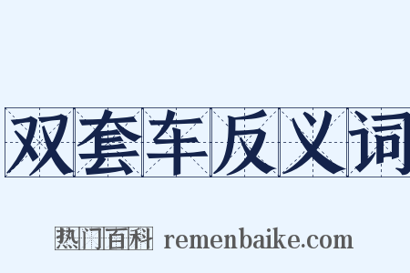 双套车反义词是什么意思的图片